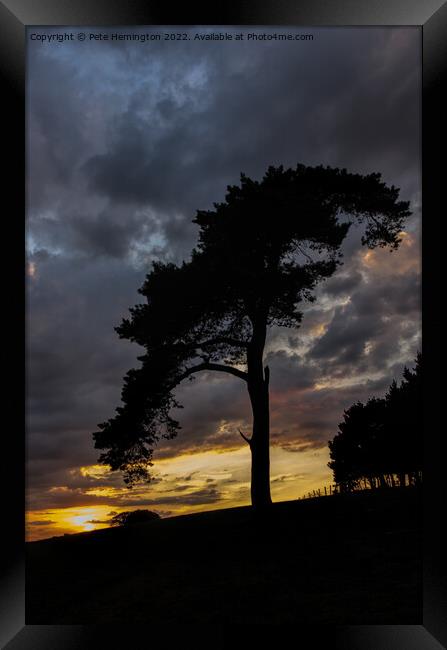 Tree on Raddon Top Framed Print by Pete Hemington