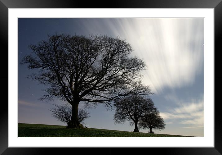 Moonlit trees Framed Mounted Print by Pete Hemington