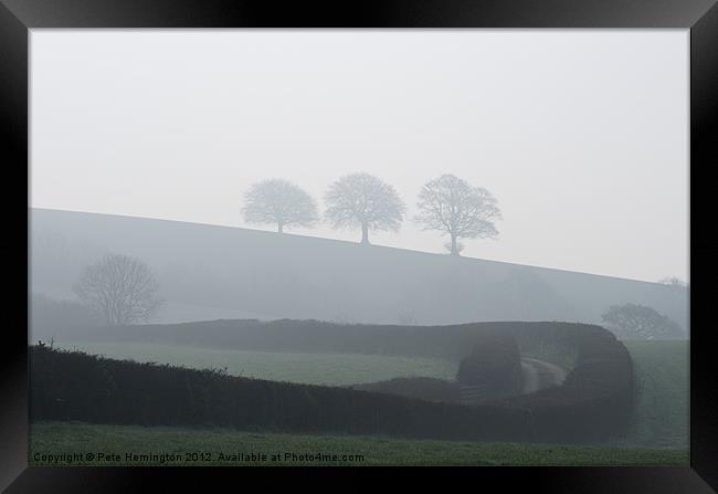 Three trees in the mist Framed Print by Pete Hemington