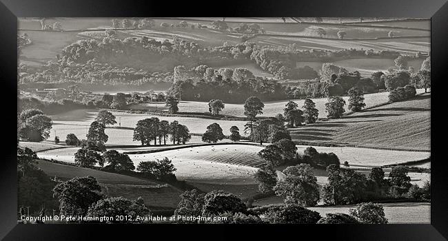 Morning light on fields - B&W version Framed Print by Pete Hemington
