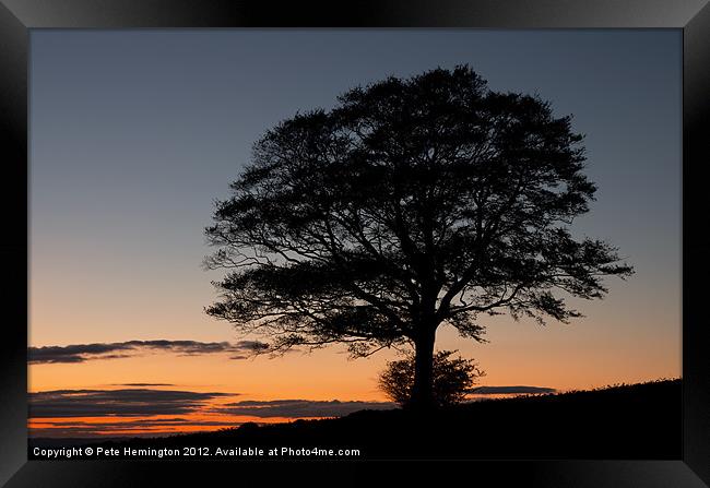 Lone tree at Sunset Framed Print by Pete Hemington