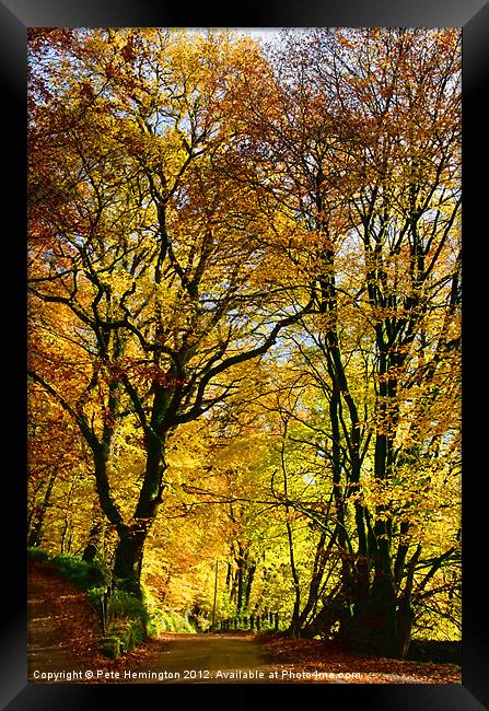 Autumnal lane Dulverton Framed Print by Pete Hemington