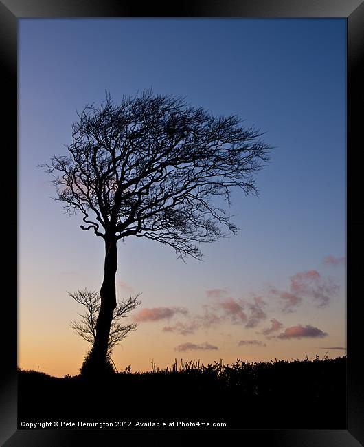 Lone tree at Sunset Framed Print by Pete Hemington