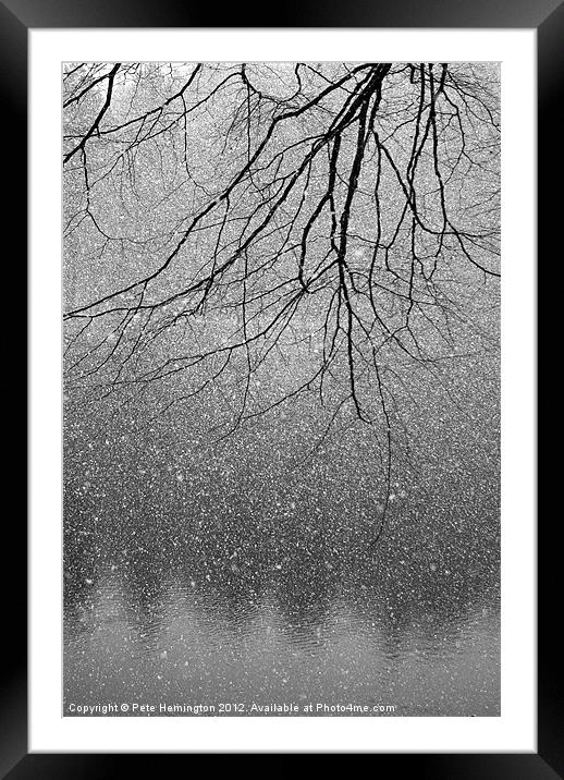 Snow and tree. Framed Mounted Print by Pete Hemington