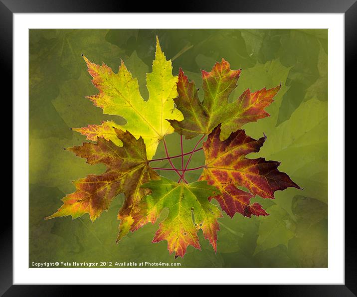 Autumn composition Framed Mounted Print by Pete Hemington