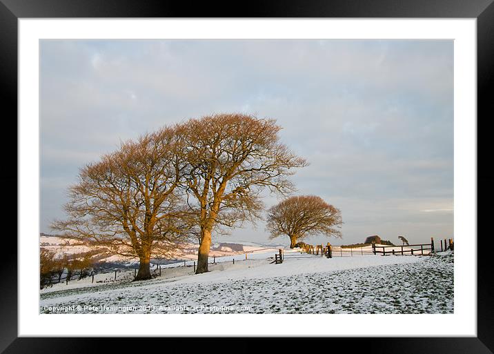 Raddon in the snow Framed Mounted Print by Pete Hemington