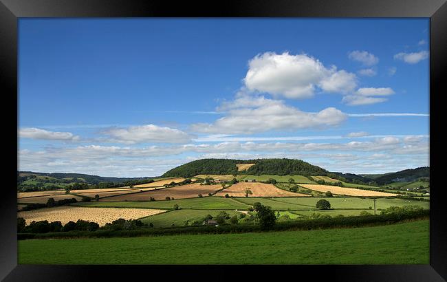 Buckton Hill near Sidmouth Framed Print by Pete Hemington