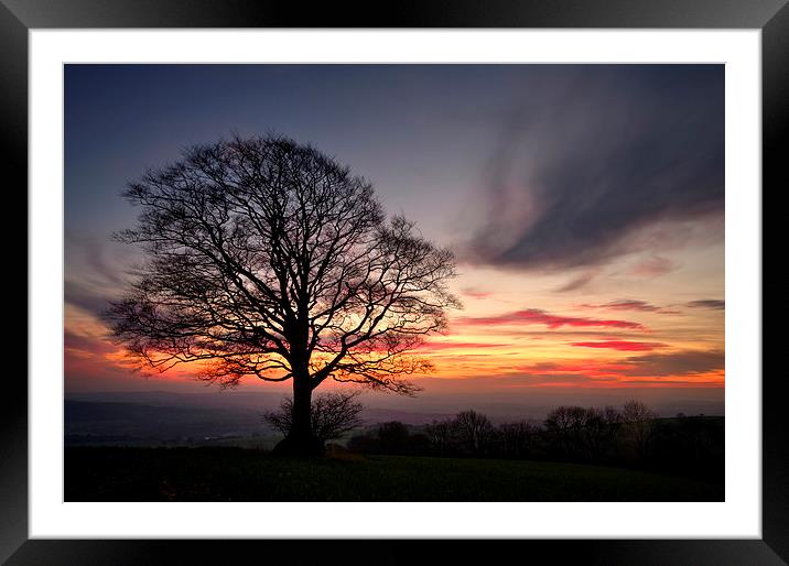 Hill Top Tree and Sunset Framed Mounted Print by Pete Hemington
