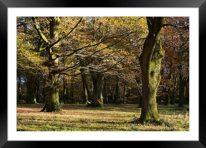 Blackberry Fort Framed Mounted Print by Pete Hemington