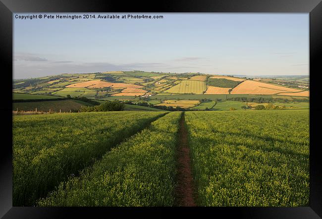 The Exe valley in Mid Devon Framed Print by Pete Hemington