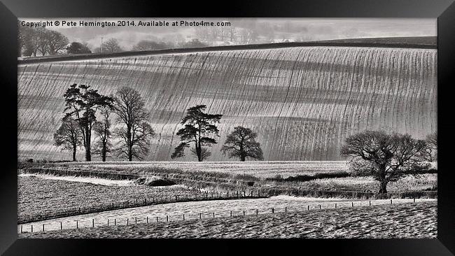  Fields and trees Framed Print by Pete Hemington