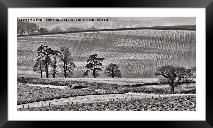  Fields and trees Framed Mounted Print by Pete Hemington