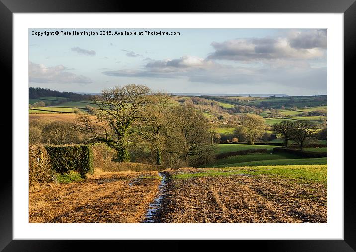  Rural Mid Devon Framed Mounted Print by Pete Hemington