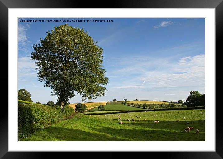  Bucolic Mid Devon Framed Mounted Print by Pete Hemington