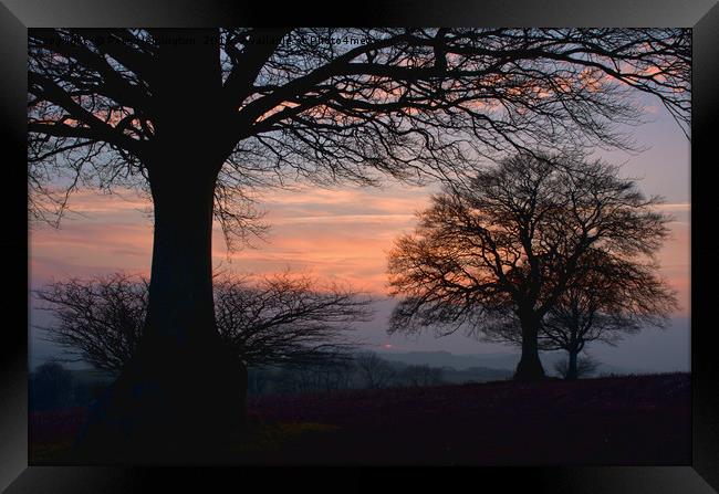 Sunset through the trees Framed Print by Pete Hemington
