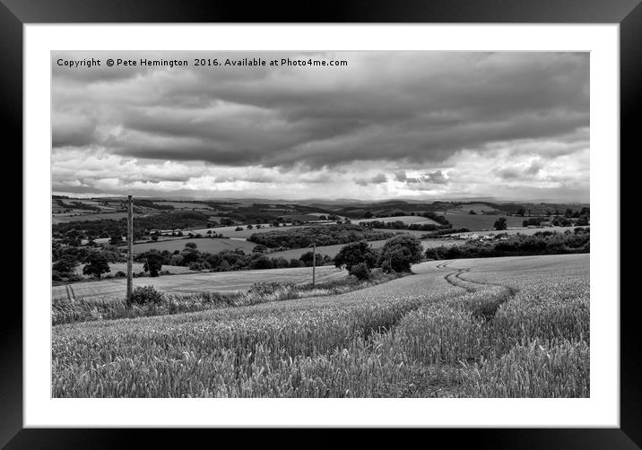 Mid Devon harvest Framed Mounted Print by Pete Hemington