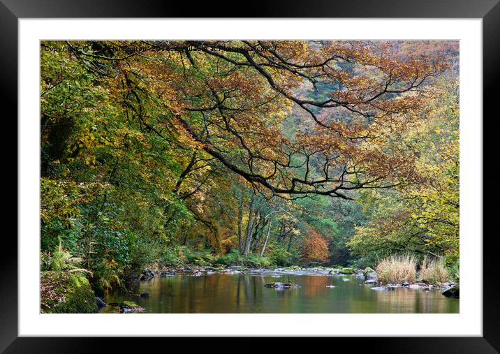 River Barle in Somerset Framed Mounted Print by Pete Hemington