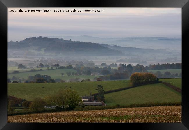 Killerton Clump from Caseberry downs Framed Print by Pete Hemington