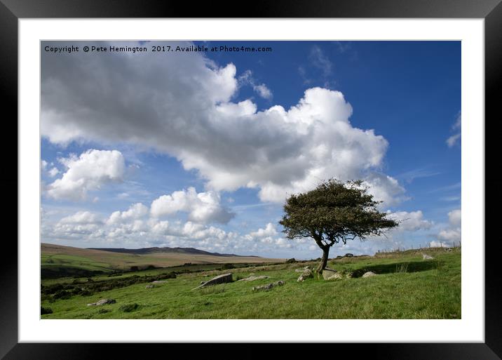 Lone tree on Bodmin Moor Framed Mounted Print by Pete Hemington