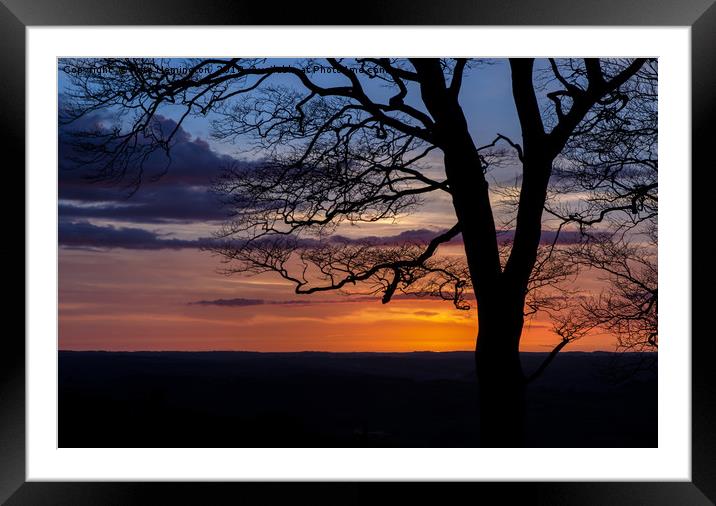 Tree Silhouette Framed Mounted Print by Pete Hemington