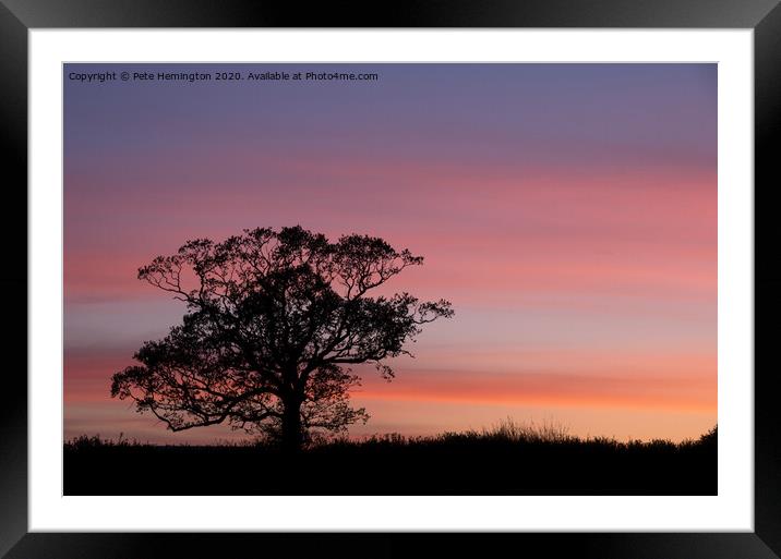 Tree silhouette at sunset Framed Mounted Print by Pete Hemington