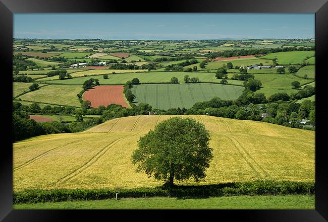 From Raddon Hill, Thorverton Framed Print by Pete Hemington