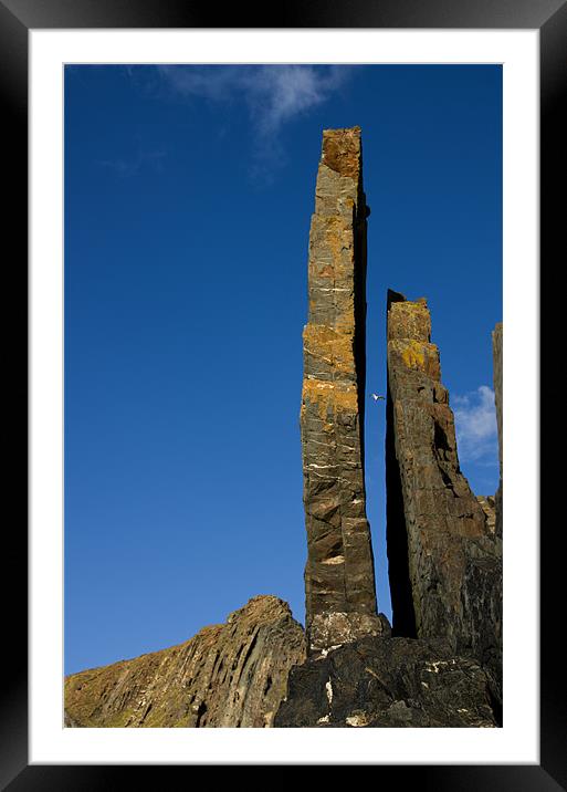 Bear Rock and Seagull Framed Mounted Print by Pete Hemington