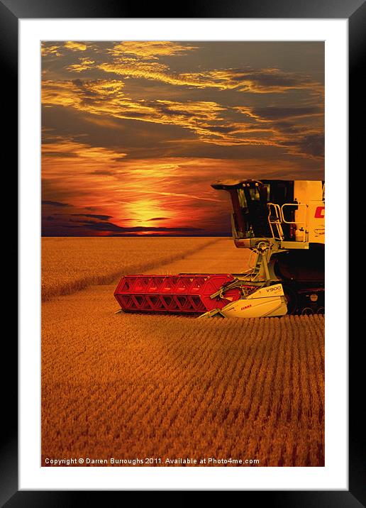 Harvest Summer Sunset Framed Mounted Print by Darren Burroughs