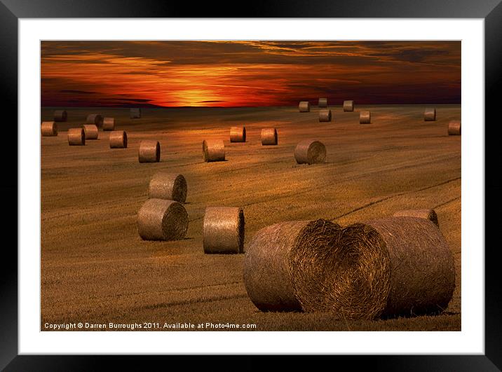 Harvest Sunset Framed Mounted Print by Darren Burroughs