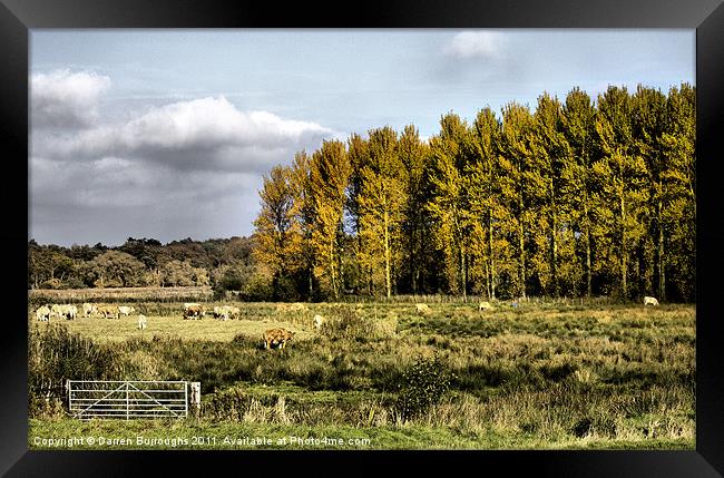Autumn Suffolk Scene Framed Print by Darren Burroughs