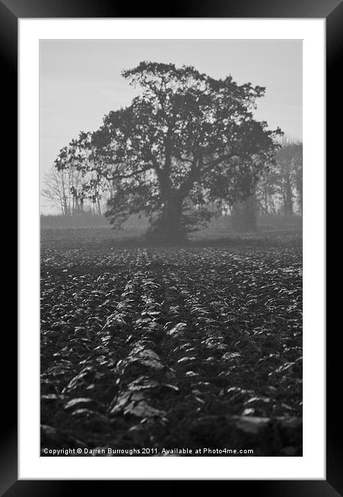 Misty Tree Framed Mounted Print by Darren Burroughs