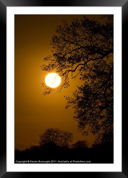 Sunrise Tree  Silhouette Framed Mounted Print by Darren Burroughs