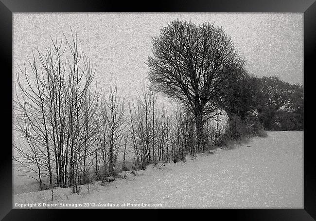 Winter trees Framed Print by Darren Burroughs