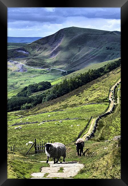 Out On The Ridge, Derbyshire. Framed Print by Darren Burroughs