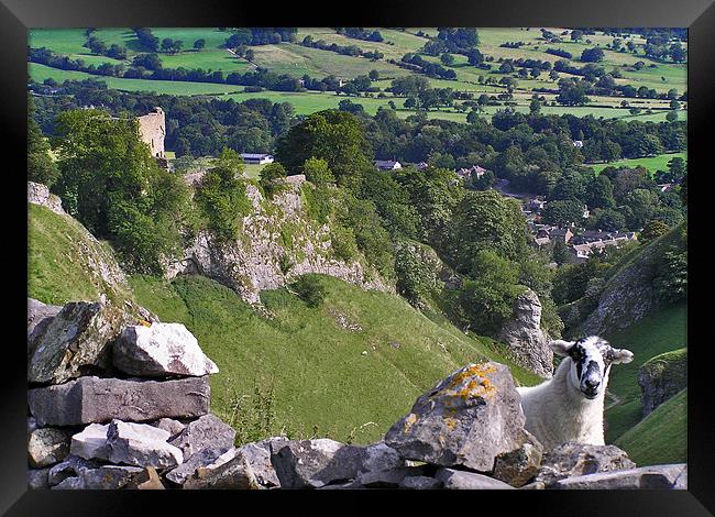 Cavedale Castleton Framed Print by Darren Burroughs