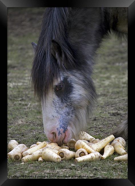 Parsnips Framed Print by Darren Burroughs