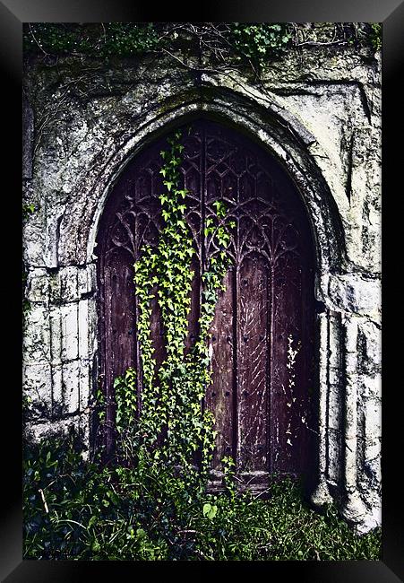 Door To Another World Framed Print by Darren Burroughs