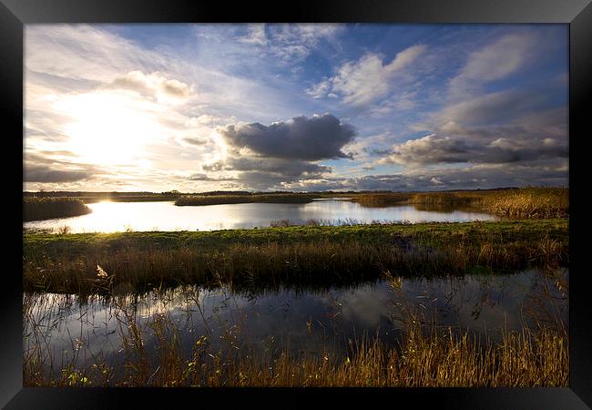 Minsmere Landscape Suffolk Framed Print by Darren Burroughs