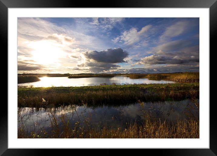 Minsmere Landscape Suffolk Framed Mounted Print by Darren Burroughs