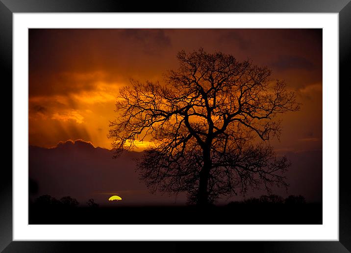 Morning Light Framed Mounted Print by Darren Burroughs
