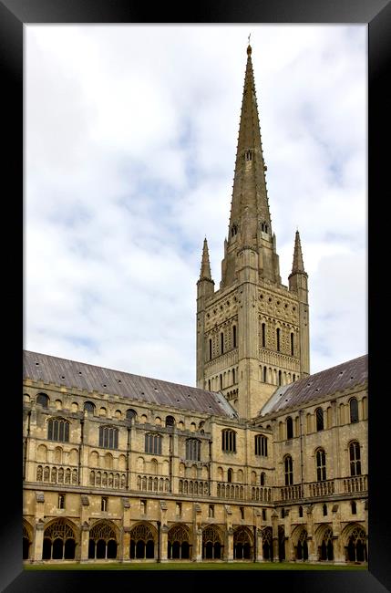 Norwich Cathedral From the Cloisters Framed Print by Darren Burroughs