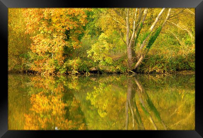 Autumn Reflections Framed Print by Darren Burroughs
