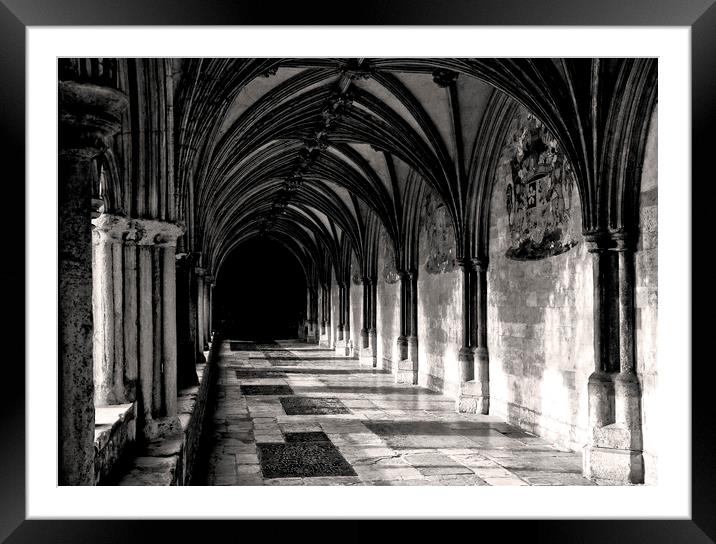 The Cloisters Norwich Cathedral Framed Mounted Print by Darren Burroughs