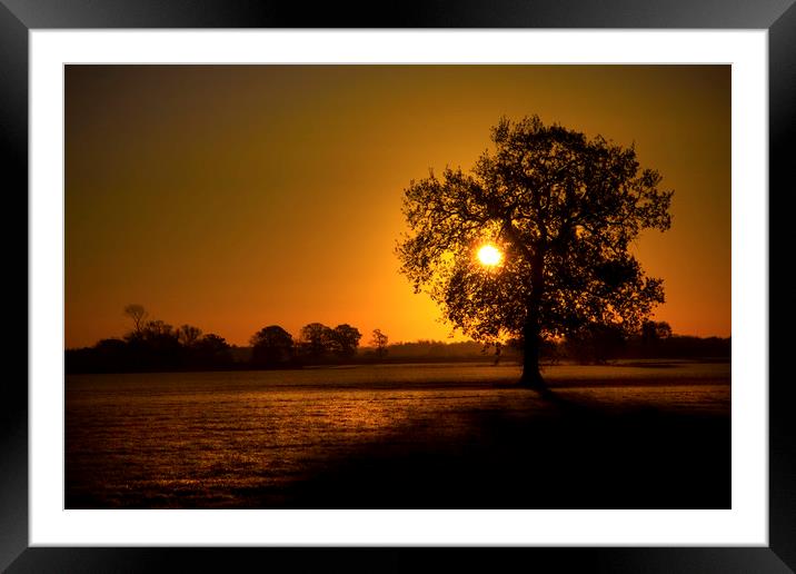 English Winters Sunrise Framed Mounted Print by Darren Burroughs