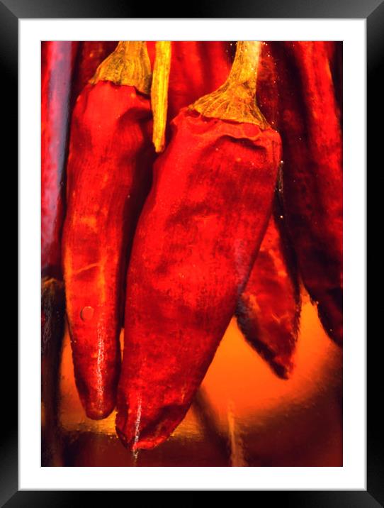 Red Chilli art Framed Mounted Print by Darren Burroughs