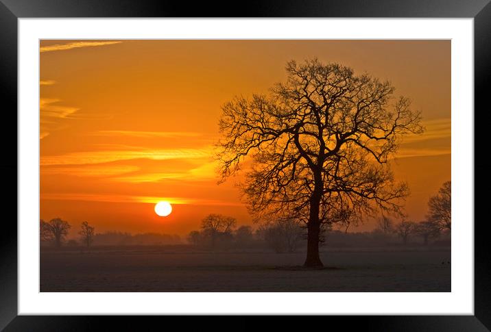 Winter sunrise Framed Mounted Print by Darren Burroughs