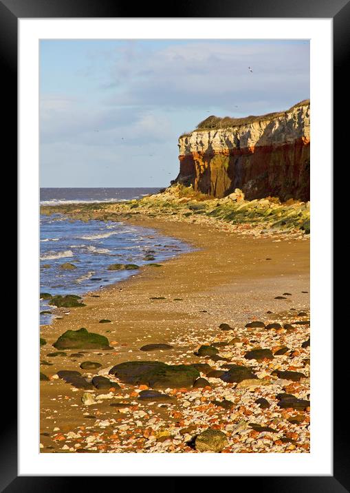 Gulls flying over Hunstanton cliffs Framed Mounted Print by Darren Burroughs