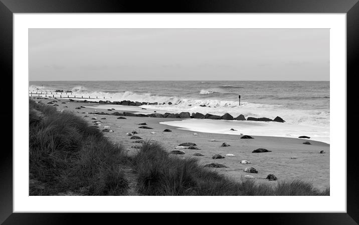 Seals On The Beach Framed Mounted Print by Darren Burroughs