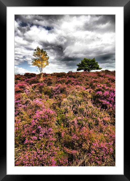 Dunwich Heath In Suffolk Framed Mounted Print by Darren Burroughs