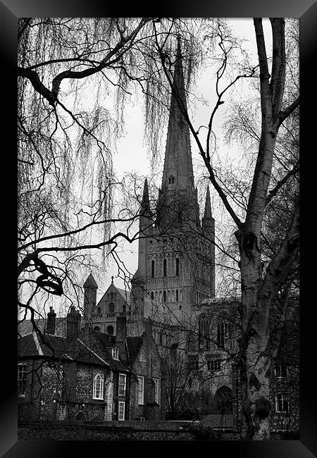 Norwich Cathedral Winter Scene Framed Print by Darren Burroughs